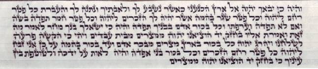 תפילין פיצפונים רש"י + ר"ת ביחד