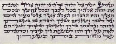 הרב נחמן גולדברגר