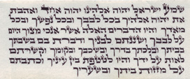 תפילין גסות נוסח אשכנזי הסופר הרב חיים שיפצאר