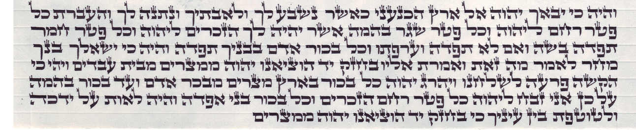 תפילין גסות. נוסח אשכנזי. הסופר: יוסף קובוס