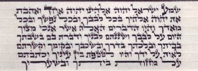 תפילין גסות. נוסח אשכנזי. הסופר: יוסף קובוס
